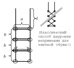 Рис. 1
